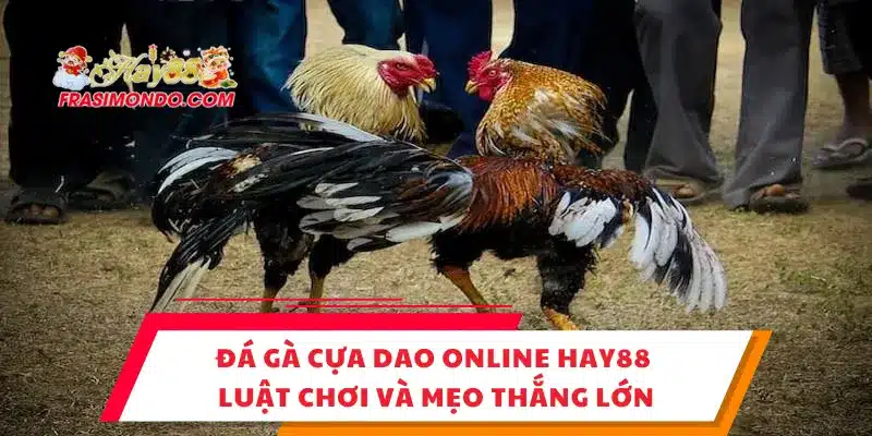 Đá Gà Cựa Dao Online Hay88 – Luật Chơi Và Mẹo Thắng Lớn 1 Đá Gà Cựa Dao Online Hay88 – Luật Chơi Và Mẹo Thắng Lớn